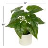 (3 pack) 10-inch x 4-inch Artificial Philodendron Leaf Plant in White Pot, Green, for Indoor Use, by
